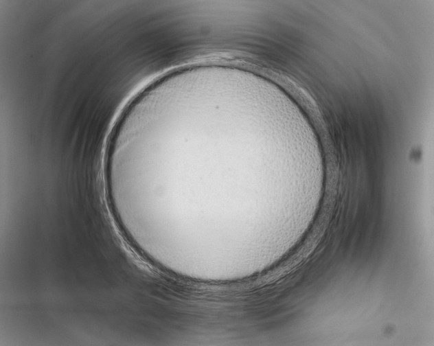 X0000116600792201001221257