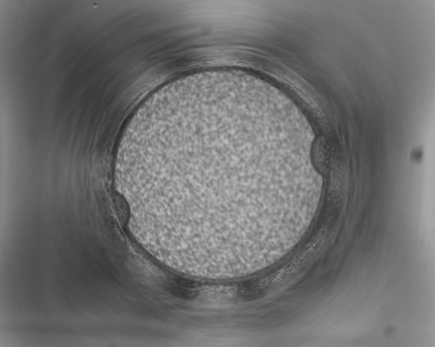 X0000116600793201001221257