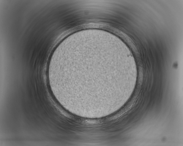 X0000116600794201001221257