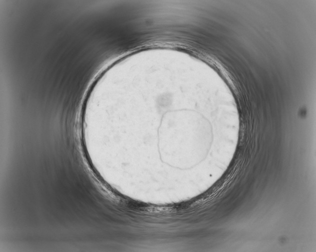 X0000116600795201001221257