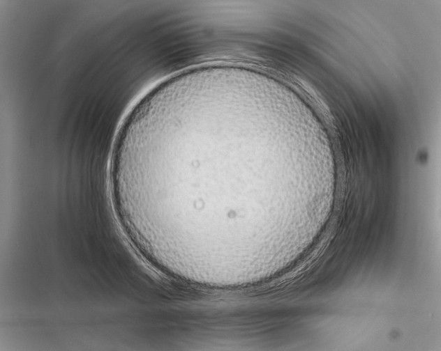 X0000116600796201001221256