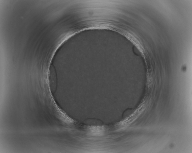 X0000116600797201001221256