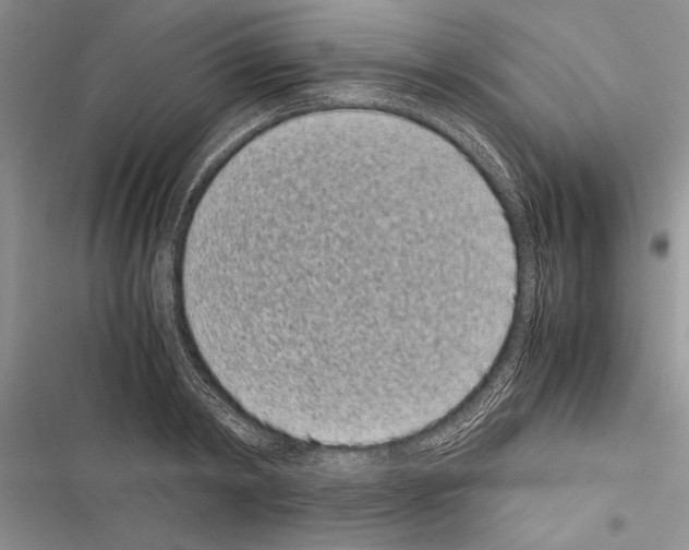 X0000116600798201001221256
