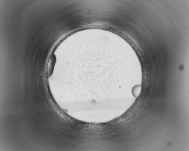 X0000116600800201001221256