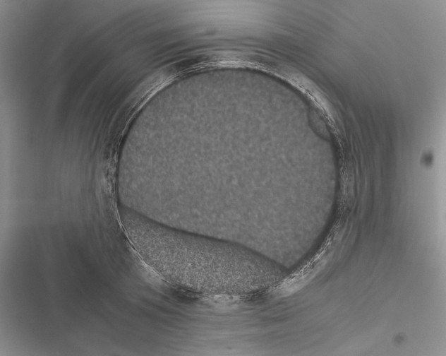 X0000116600801201001221256