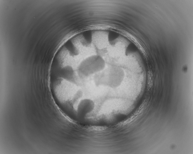 X0000116600802201001221256