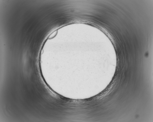 X0000116600803201001221256