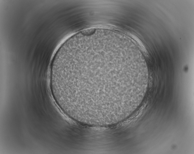 X0000116600804201001221256