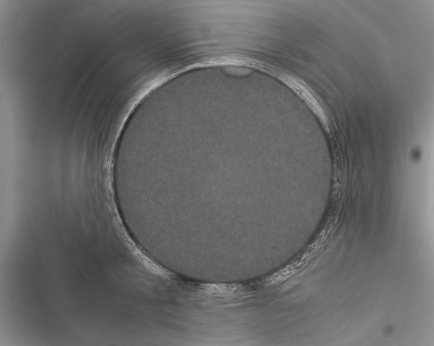 X0000116600805201001221256
