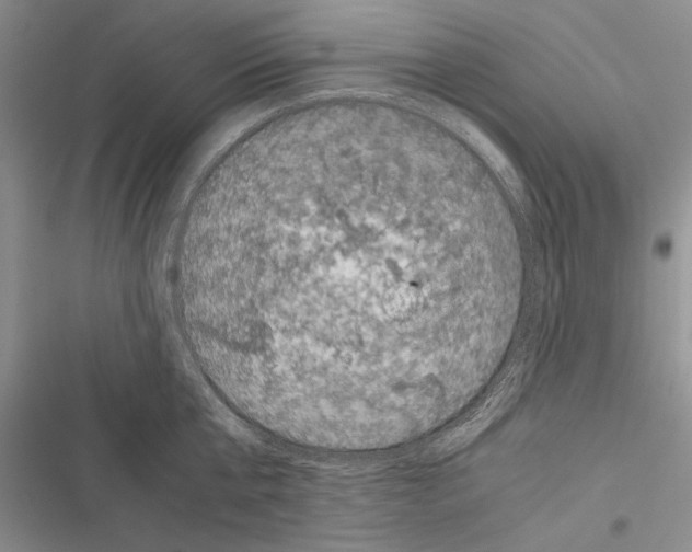 X0000116600807201001221256
