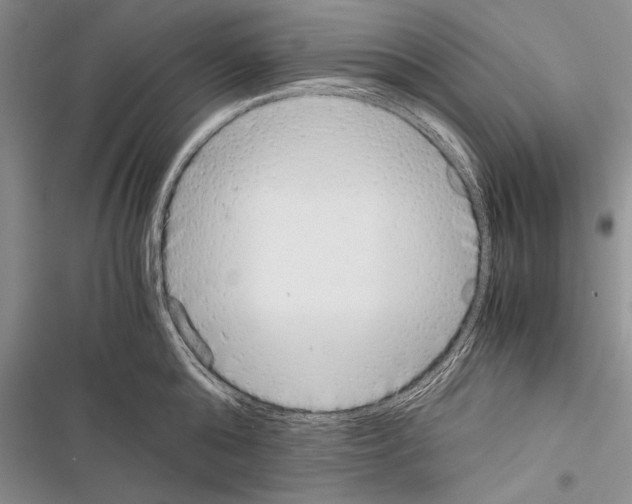 X0000116600808201001221256
