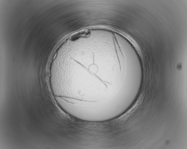 X0000116600809201001221256