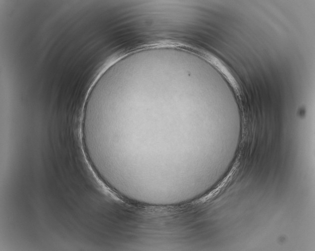 X0000116600810201001221256