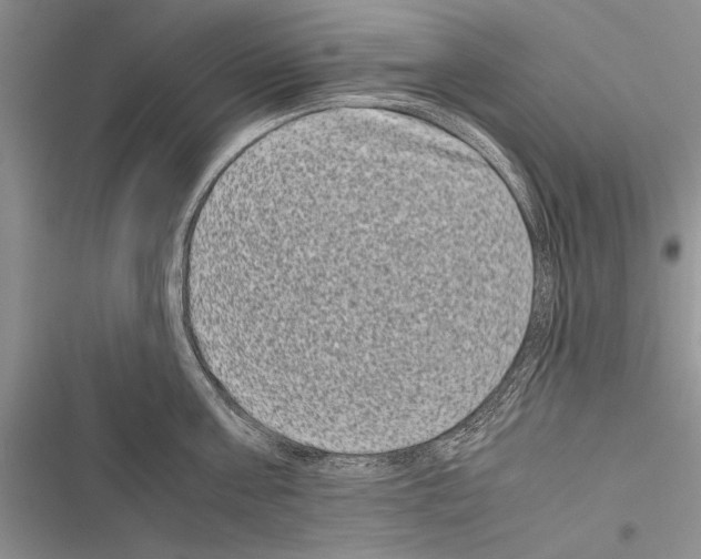 X0000116600811201001221256
