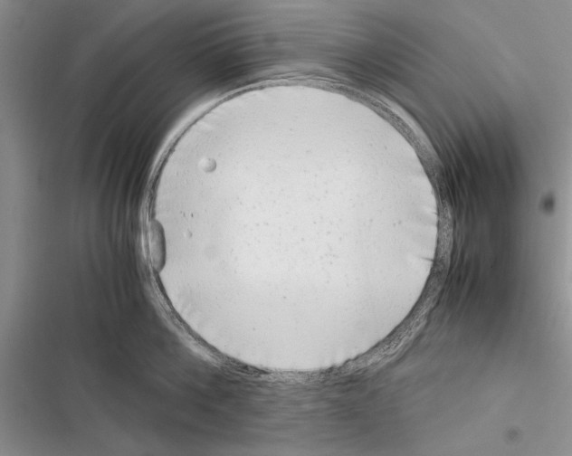 X0000116600812201001221256