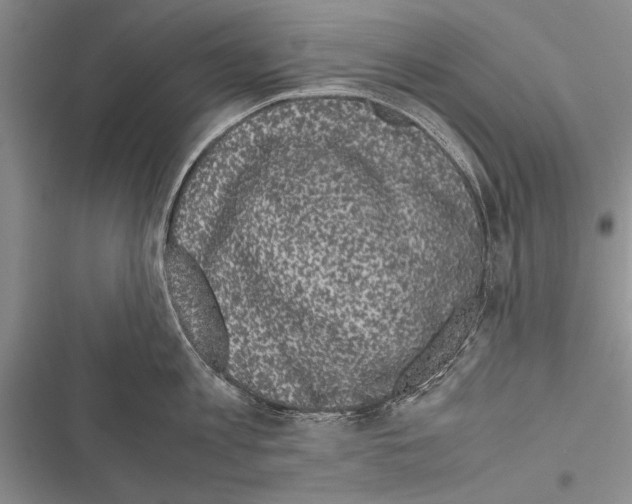 X0000116600813201001221256