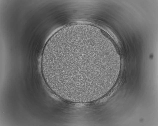 X0000116600814201001221256