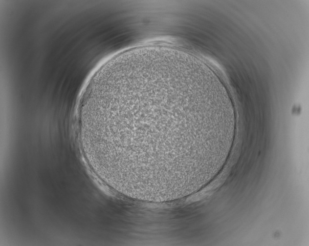 X0000116600816201001221256