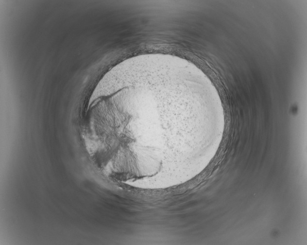 X0000116600817201001221256
