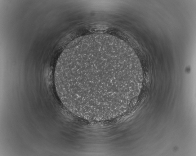 X0000116600818201001221256
