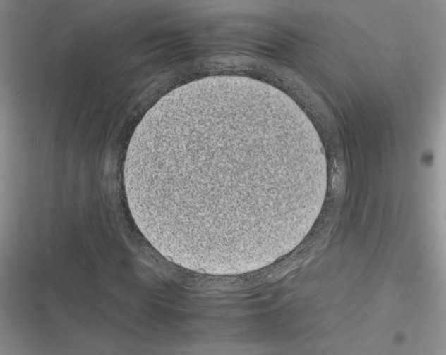 X0000116600819201001221256