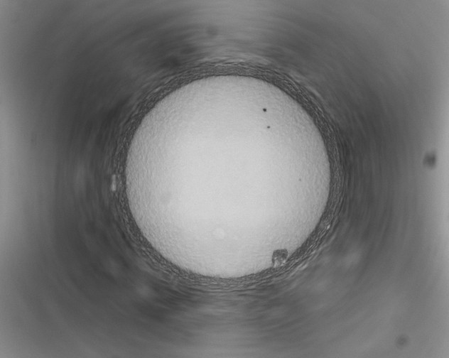 X0000116600820201001221256