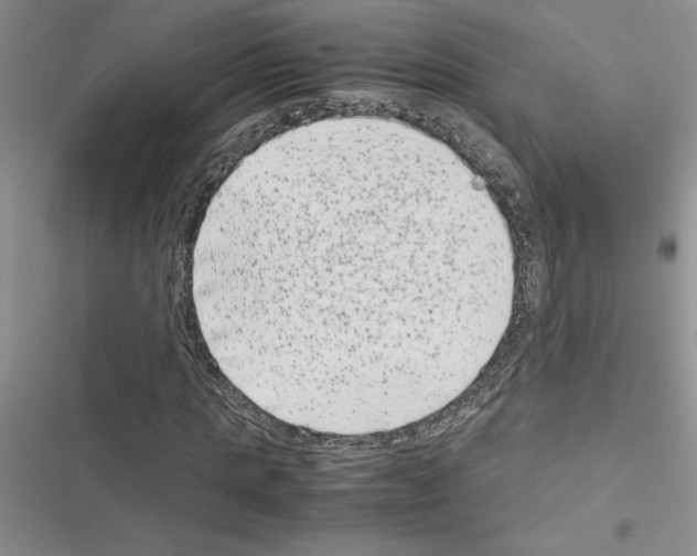 X0000116600821201001221256