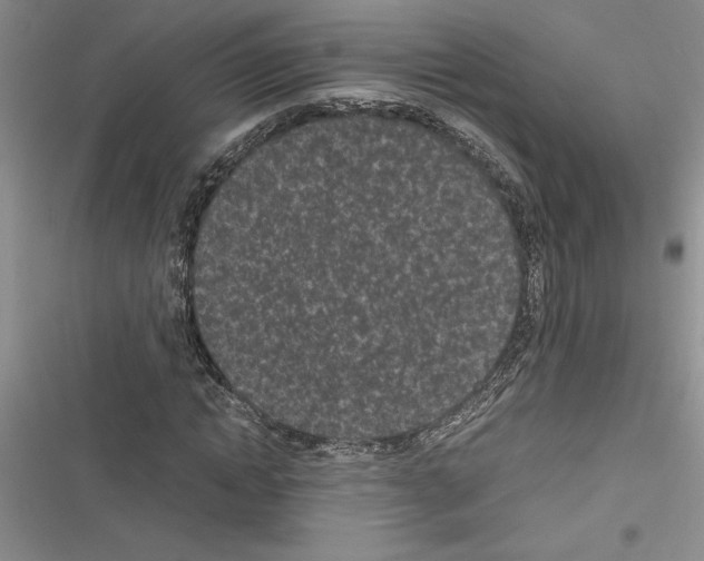 X0000116600822201001221256