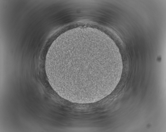 X0000116600823201001221256