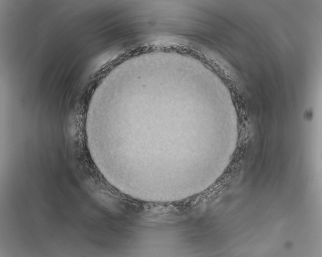 X0000116600824201001221256