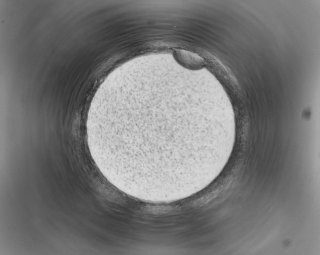 X0000116600825201001221256