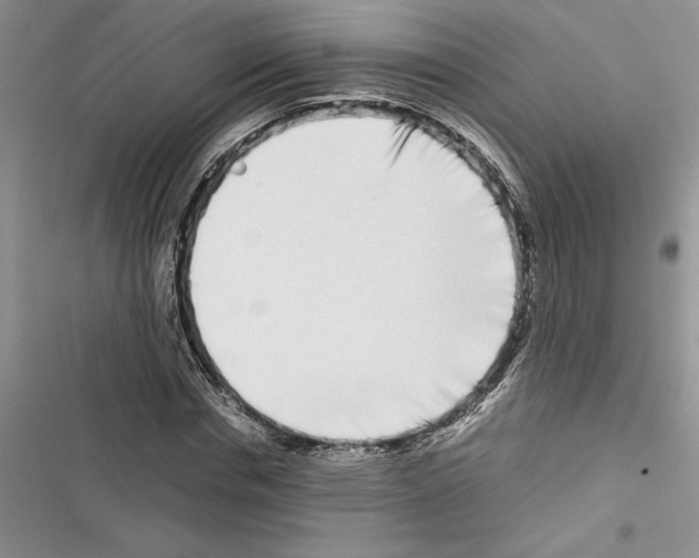 X0000116600826201001221256