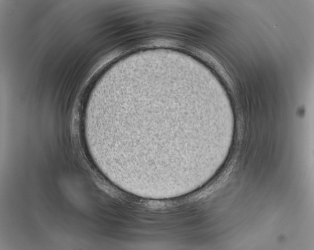 X0000116600827201001221256