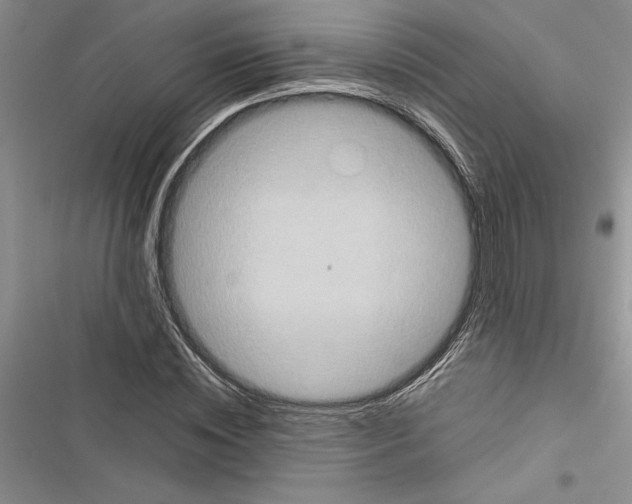 X0000116600828201001221256
