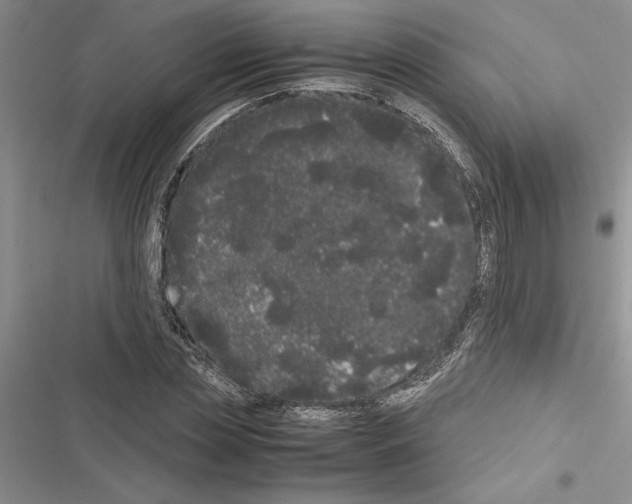 X0000116600829201001221256