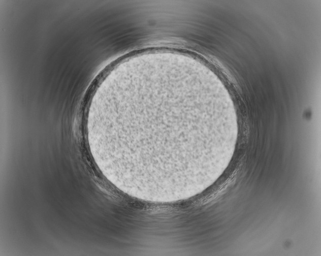 X0000116600830201001221256
