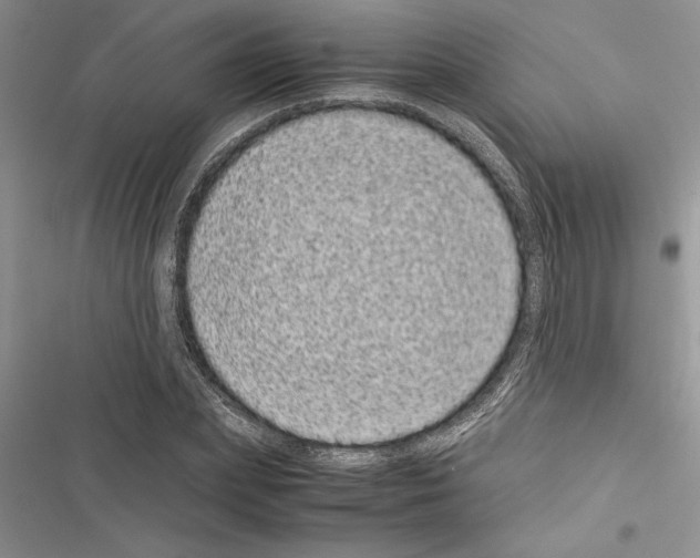 X0000116600831201001221256