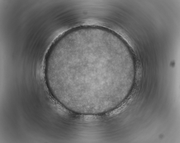 X0000116600832201001221256
