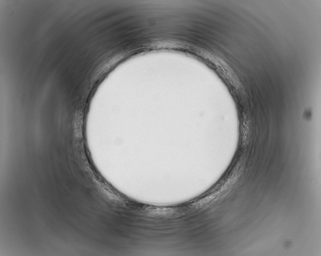 X0000116600833201001221256