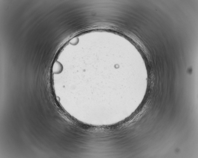 X0000116600834201001221256