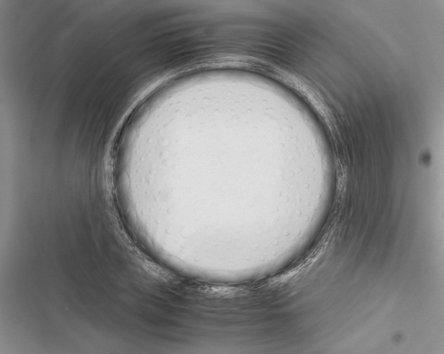 X0000116600835201001221256