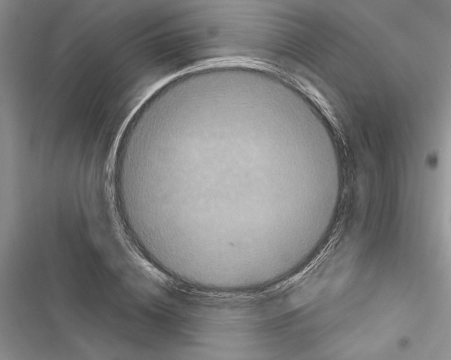 X0000116600836201001221256