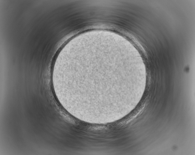 X0000116600837201001221256