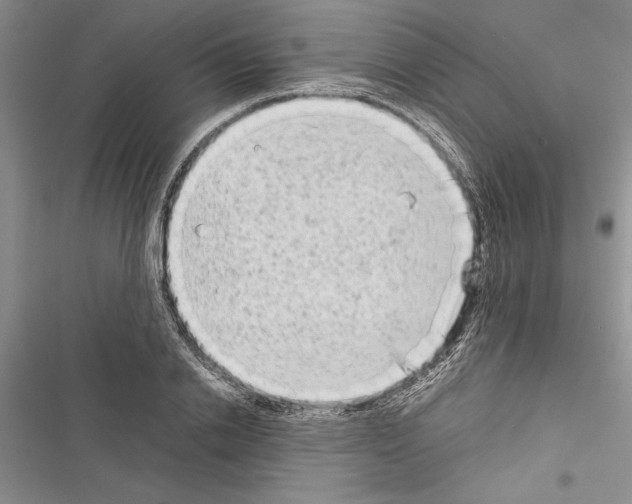 X0000116600838201001221256