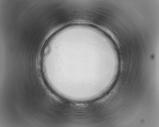 X0000116600839201001221256