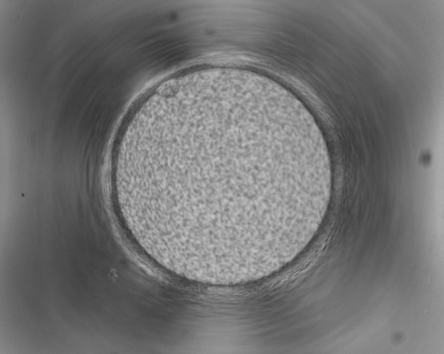 X0000116600840201001221256