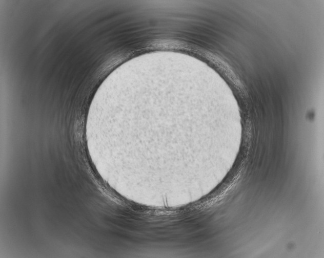 X0000116600841201001221256