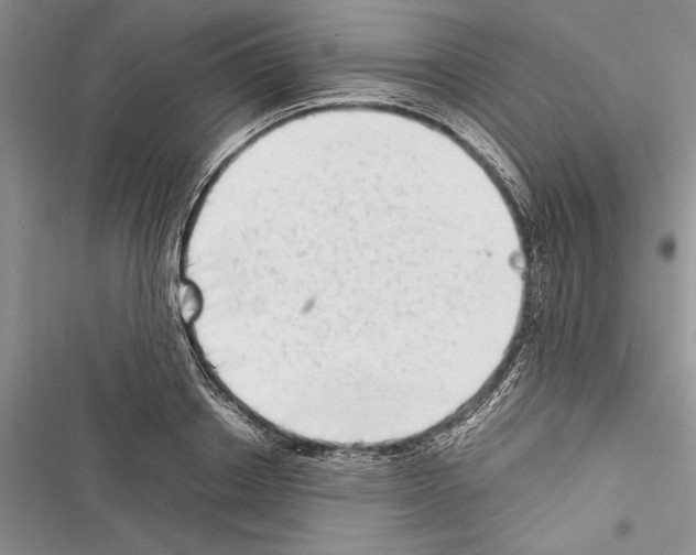X0000116600842201001221256
