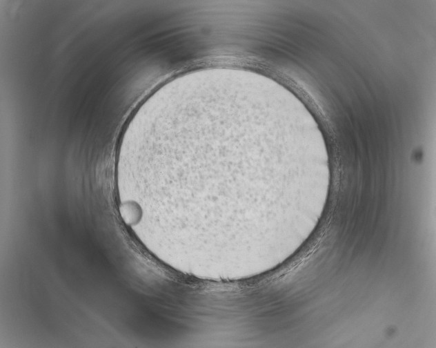 X0000116600844201001221256