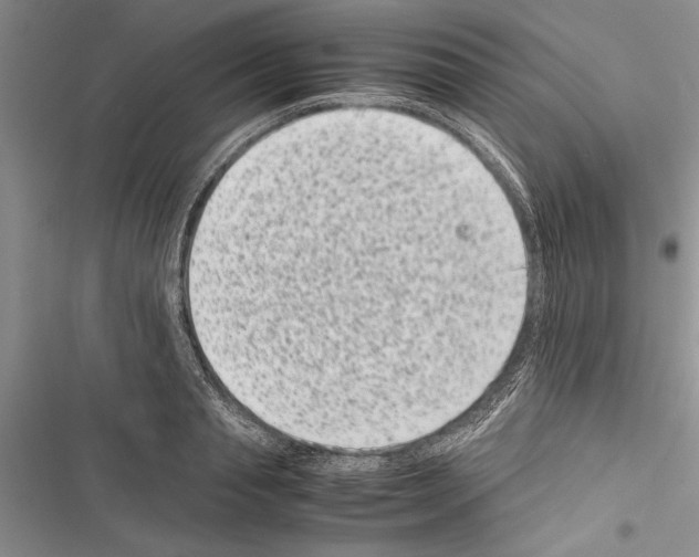 X0000116600845201001221256